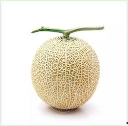 吃瓜群众仙人掌,揭秘网络红人的神秘生活